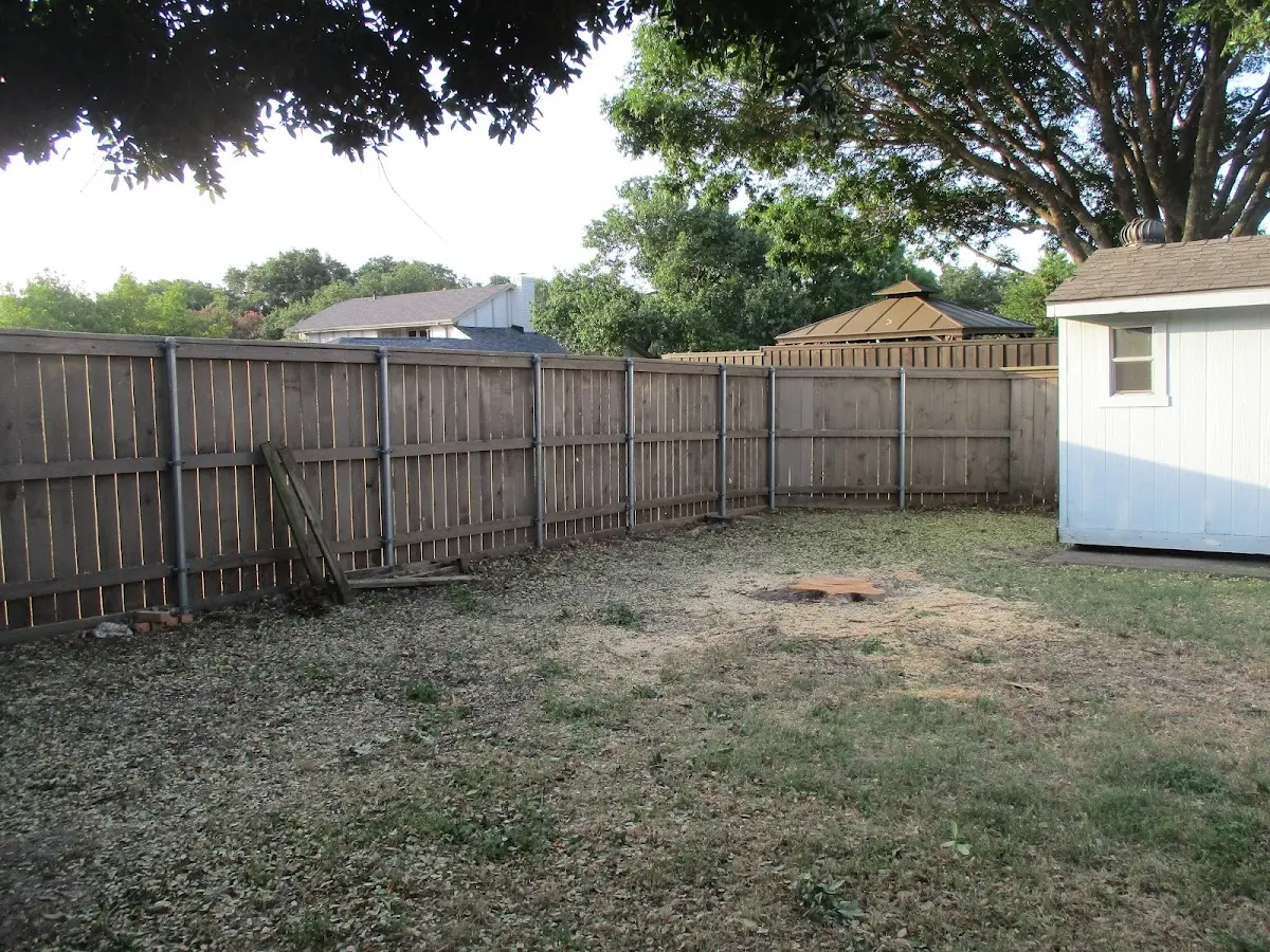 Cleared yard after professional tree removal in East Norwich