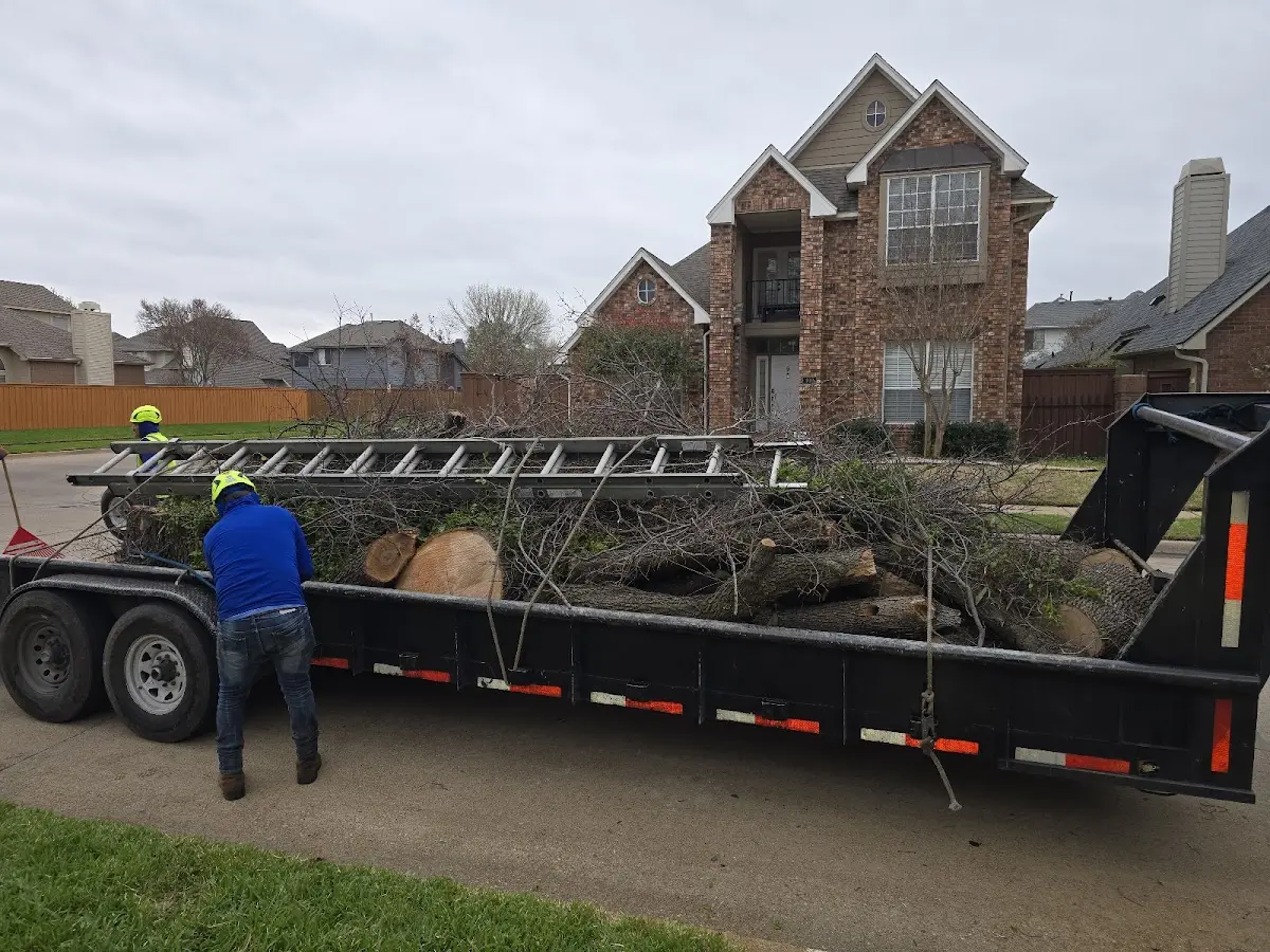 Expert Tree Fertilization with proper safety equipment in East Norwich